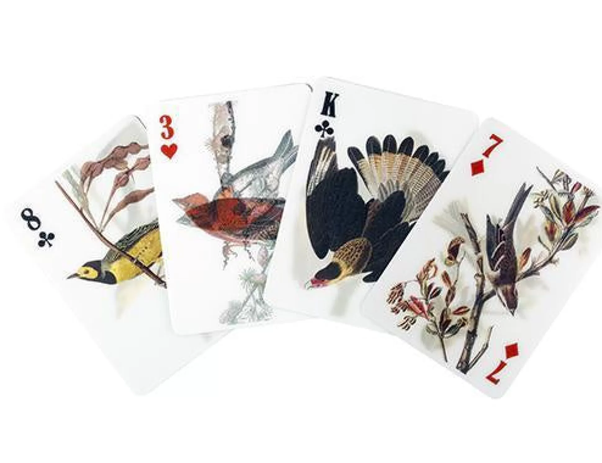 Kikkerland 3D Bird Playing Cards Fashion