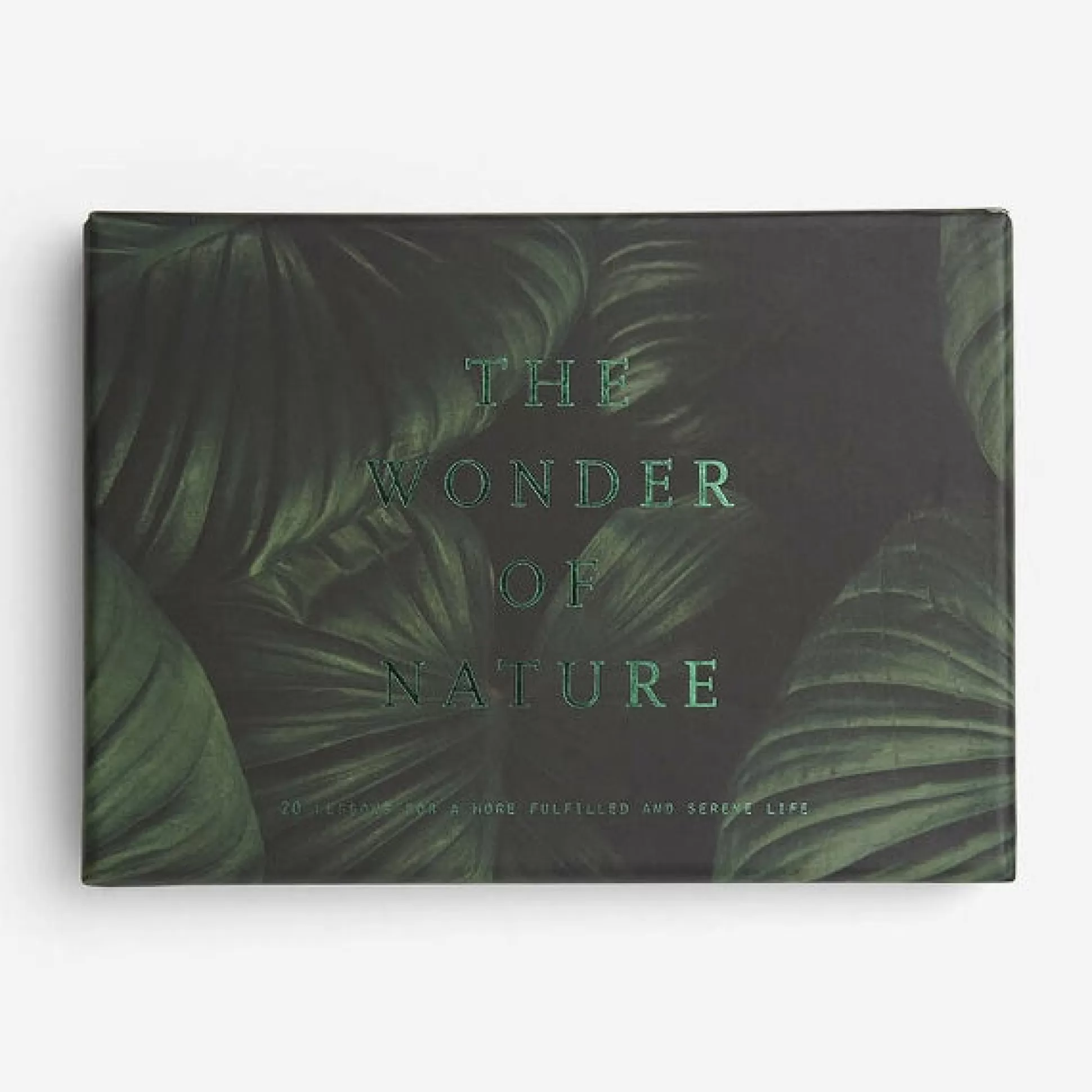 The School Of Life The Wonder Of Nature Cards Flash Sale